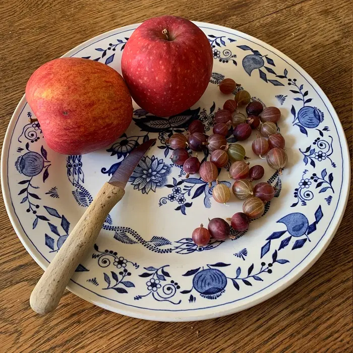 BOCH Dekor Zwiebel plat bord 27 cm